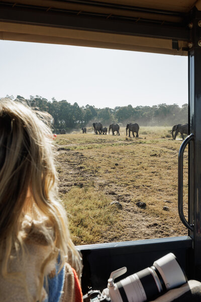 Woman on safari looking out the window at elephants