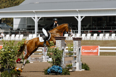 a sorrel stallion jumping at Caledon Equestrian park captured by an equine private client photographer in ontario