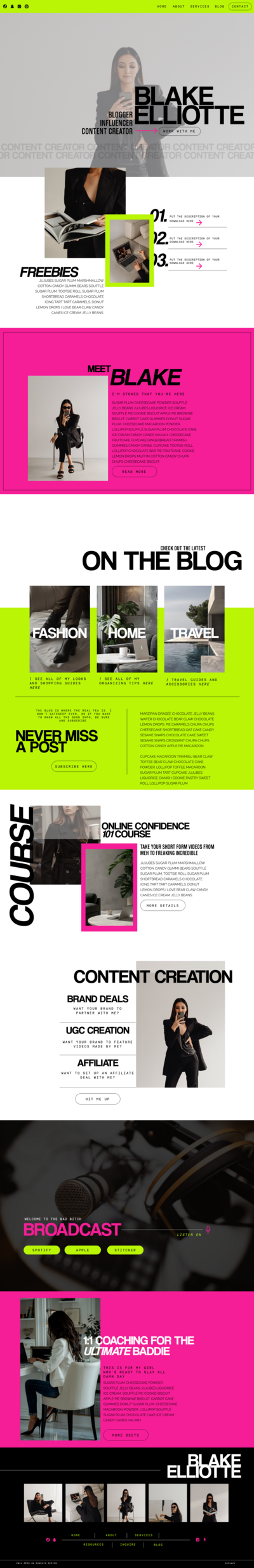 screenshot of a website that the designer made