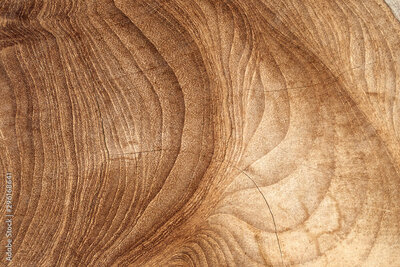 wooden textured background