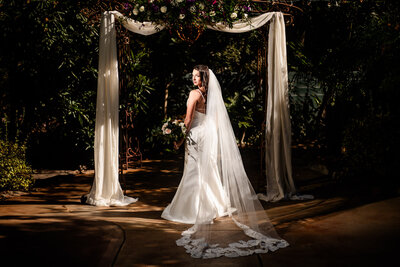 IMG_9162-Edit