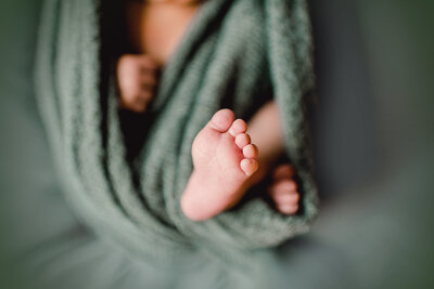 traverse city newborn photographer