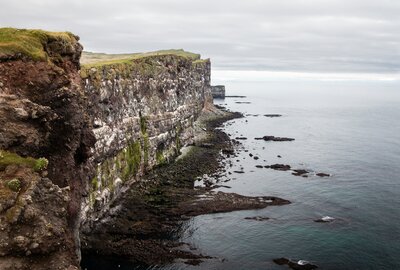 Látrabjarg cliffs in iceland