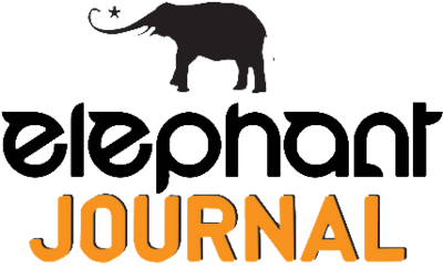 PngJoy_journal-elephant-journal-logo-hd-png-download_2680849