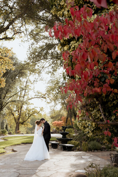 Lavish Moments Wedding Co. Wedding Photography Wedding Videography Wedding Content Creation Diane Nicole Photography Northern California Worldwide Destination TikTok Wedding Content 31