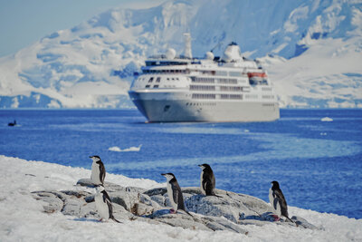 A group of penguins stands on a snow-covered rocky shore, with a large cruise ship in the background. The ocean is a clear blue, and the distant landscape features snowy mountains under a bright sky.