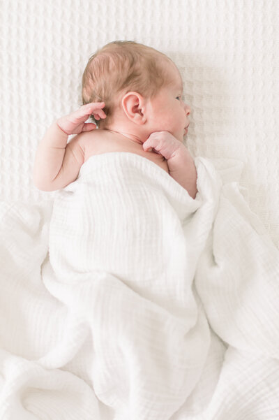 Orlando Newborn Photographer, Orlando Newborn Photography