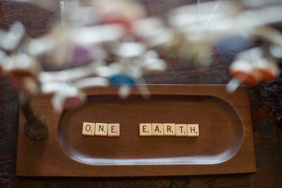Branding product image of necklaces dangling on a wood jewelry display with small wooden letters spelling out One Earth.