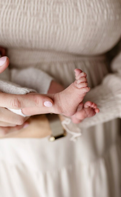 Newborn photographer in Fort Collins studio with natural light