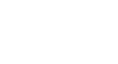 sugar flowers by Kelsie Cakes