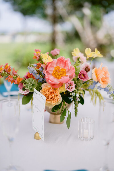 Tilghman Island, MD wedding