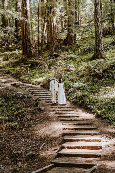 Muir Woods eloping couple