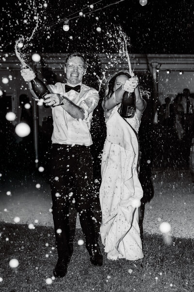 Vue_On_Halycon_Wedding