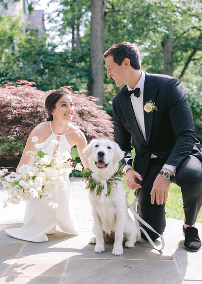 Dog included in luxury wedding reception — designed and coordinated by Well-Dressed Events