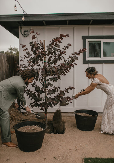 couple plant a tree together on their wedding day in backyard