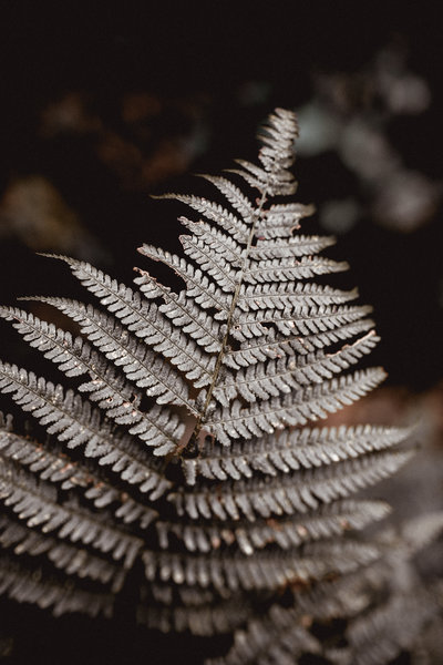social-curator-11-2019-14