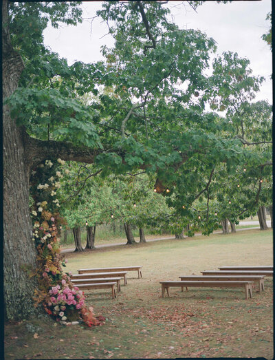 chicago film wedding photographer