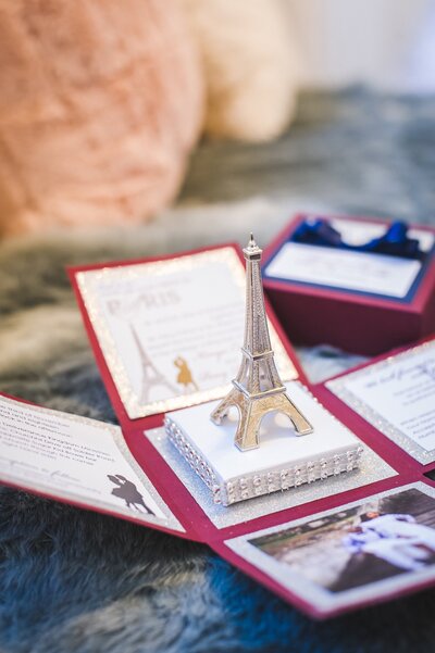 Paris themed wedding invitation