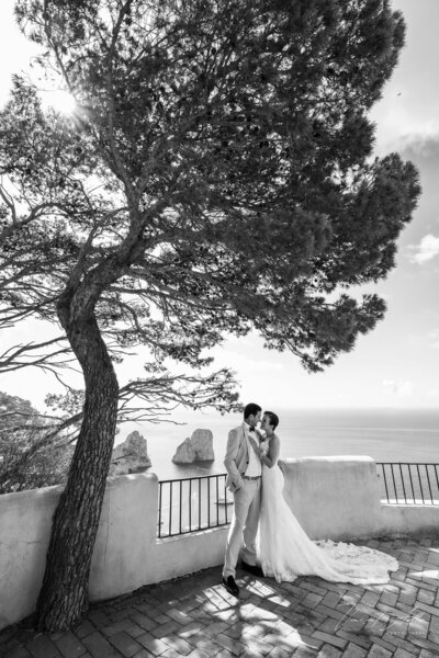 Bride and groom stand beneath a large tree by a stone railing, overlooking seaside cliffs and distant rock formations.