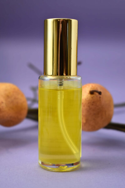 sun-and-moon-garden-botanicals-fall-body-oil-back