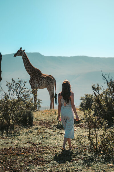 A woman looking at a giraffe