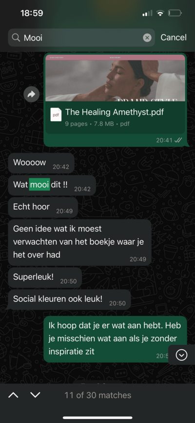 Showit website laten maken, website en branding voor vrouwelijke ondernemers, Squarespace website, online zichtbaarheid, online marketing