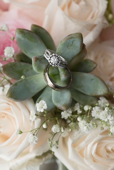 Detail photo of bride and grooms wedding rings on a succulent surrounded by ivory roses