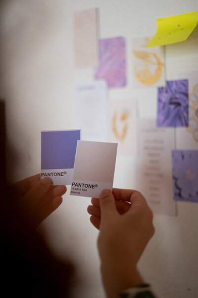 Moodboard et palette de couleur d'une identité visuelle