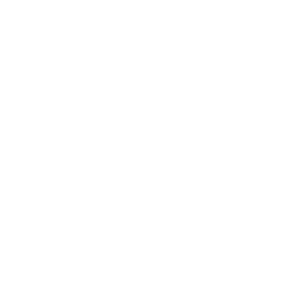 Wedding Flowers & Decorations