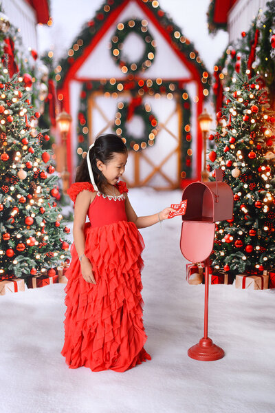 houstonchristmasminis (12)