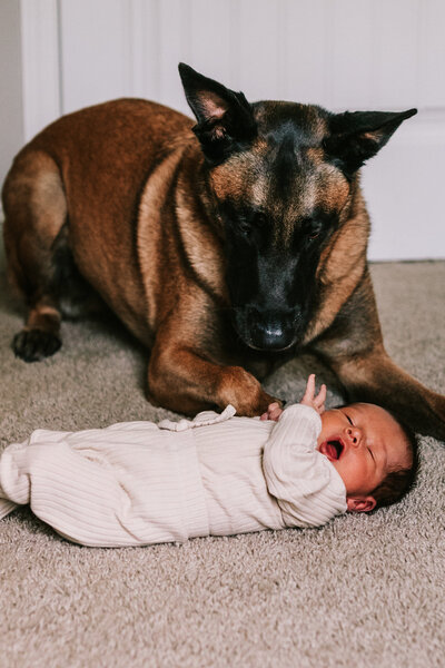baby awake on the floor with dog looking at the baby