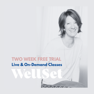 find-me-on-wellset-holistic-digital-studio-wendy-obstler