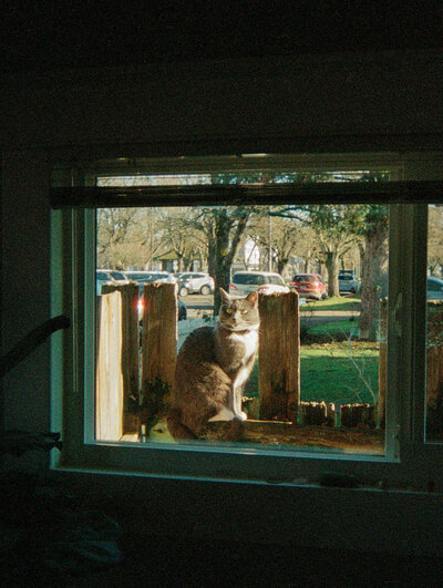 2025-disposable-film-12