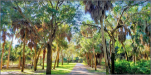 ABERCROMBIE PARK