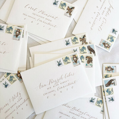 White  holiday card envelopes with champagne ink calligraphy and winter themed vintage postage