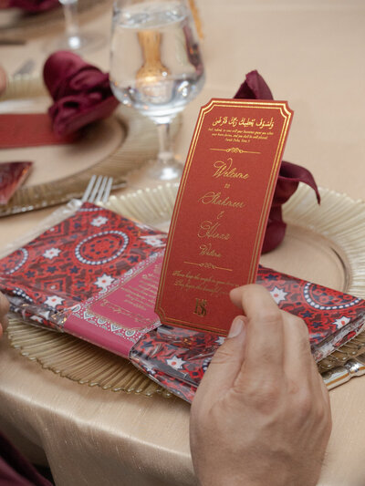 RYP_V_Hina+Shahmeer-324