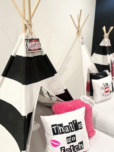 themed-parties-columbus-200