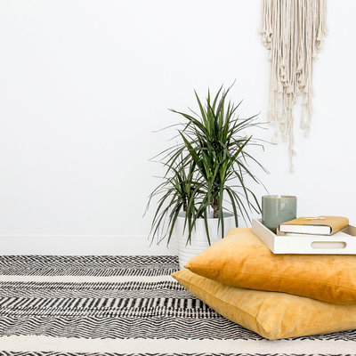 rug, pillows and plant