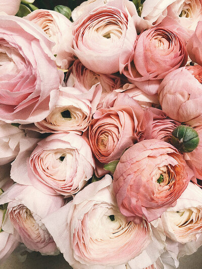 Branding for wedding florists.