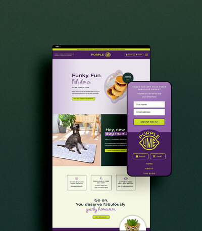 Website copywriting for retail brand