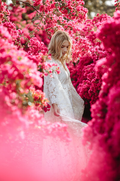Photos with bougainvilleas