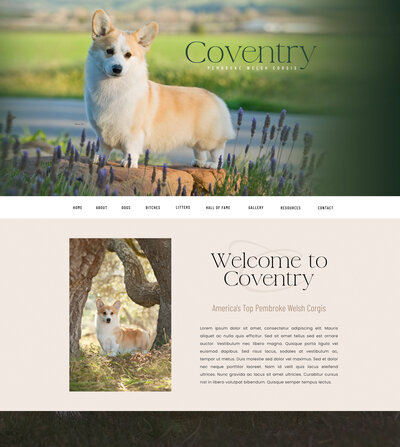 Dog Breeder Website