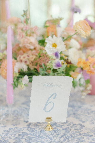 Mary Ann captured this sweet autumn Aspen wedding at Chair Mountain Ranch.