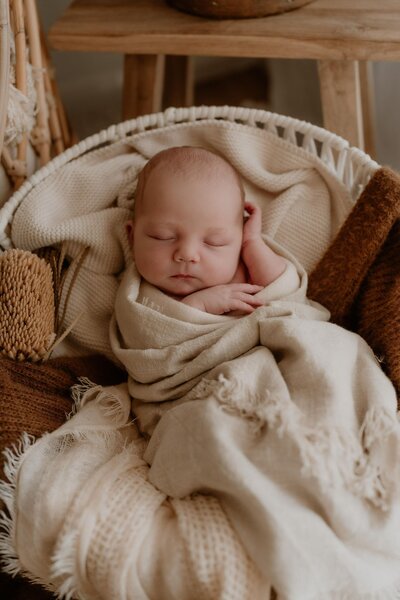 newborn photography brisbane, family photographer brisbane, gold coast and scenic rim. Natural family photographer