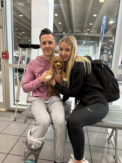 Maltipoo Puppy travels
