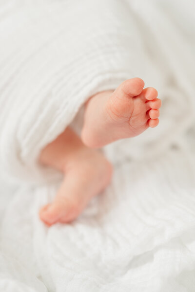 Swaddled baby in moses basket for Minneapolis newborn photos
