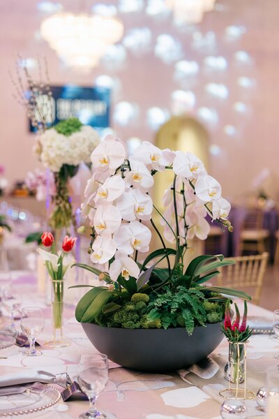 JayNishaSneakPeeksDay2-33