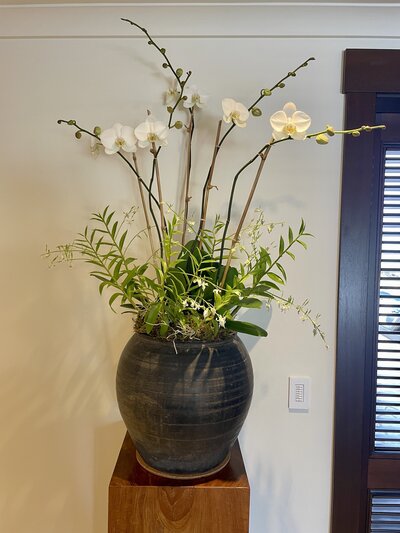 Large white orchid arrangement on podium