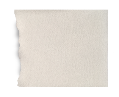 cream torn paper