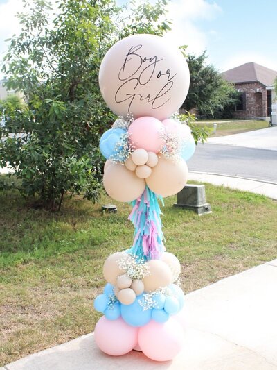 gender reveal